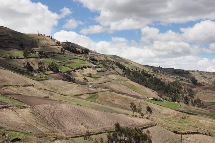 Rural farming valley landscape