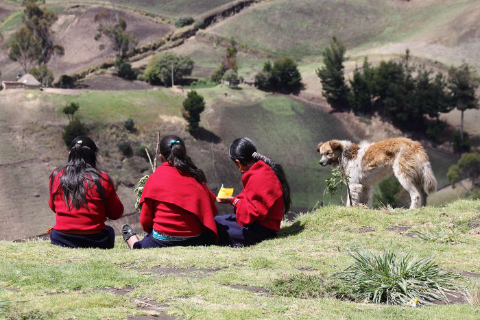 Dog watches school children eat lunch, with rural valley beyond