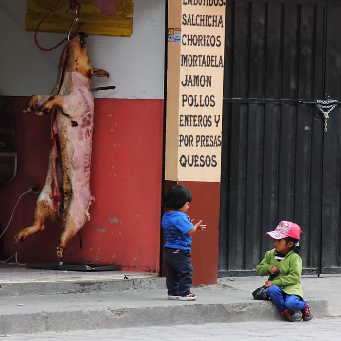 Two children playing on the sidewalk outside of a butcher shop store, with a gutted pig hanging inside the entrance