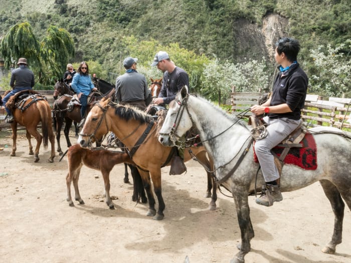 Group of people sitting on horses, ready to start the trail ride