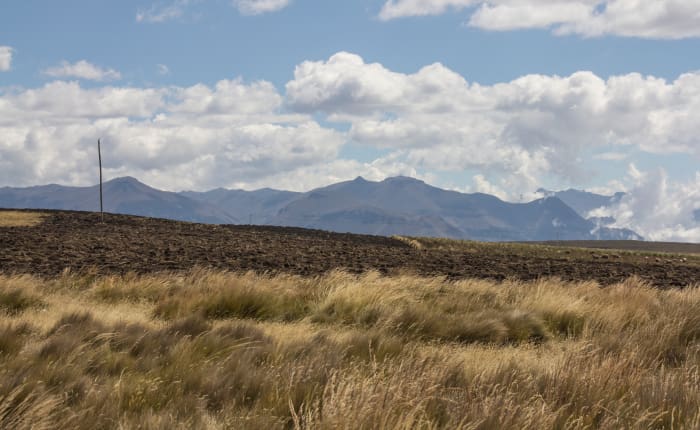 Landscape of fields with mountains and clouds in distance
