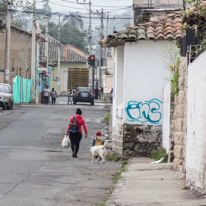 Woman with child and dog walk down street