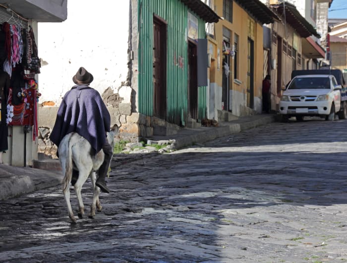 Man rides donkey on cobblestone street